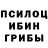 Псилоцибиновые грибы прущие грибы Gayane Mehrikyan